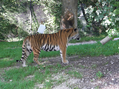 Grădina Zoologică Hellabrunn — fotografia 5