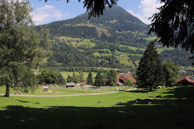 Alpen Wildpark Feld am See — fotografia 4