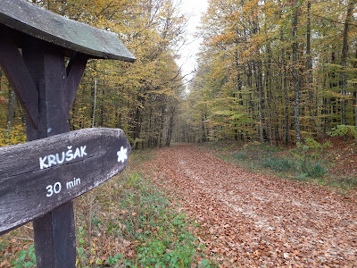 Pješačka poučna staza "Šumarica" — fotografia 3