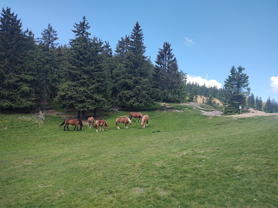 Groapa Ruginoasa - Valea Seacă — fotografia 4