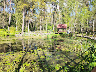 Leśne Arboretum Warmii i Mazur — fotografia 3