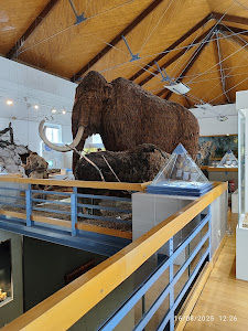 Hungarian Natural History Museum — fotografia 5