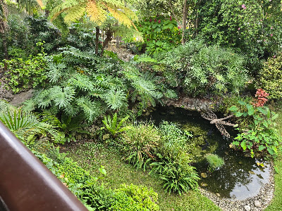 Gibraltar Botanic Gardens — fotografia 5