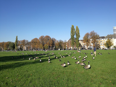 Rheinpark Golzheim — fotografia 4