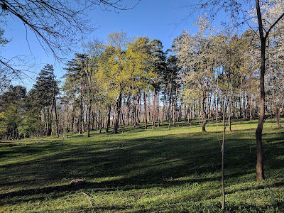 Parcul Iuliu Prodan — fotografia 3