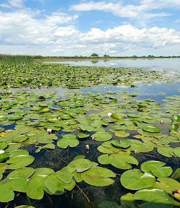 Lacul Isac