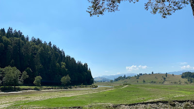 Valea Zimbrilor — fotografia 5