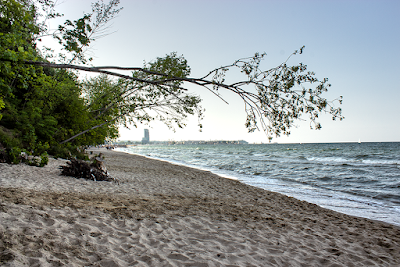 Plaża publiczna Redłowo — fotografia 4