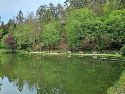 Taunus Angelpark — fotografia 4