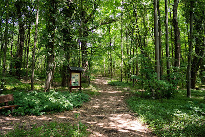Botanical Garden, Soroksár — fotografia 4