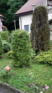 Mănăstirea Sfântul Dimitrie - Sighișoara — fotografia 2