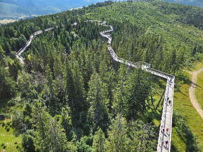 Treetop Walk Bachledka — fotografia 3