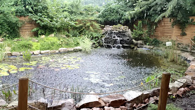 Tavacska étterem — fotografia 2