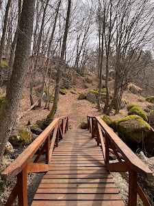 The path of health - Kladnitsa - hut Selimitsa — fotografia 5