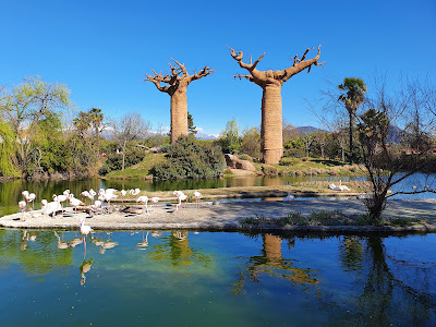Zoom Torino — fotografia 4
