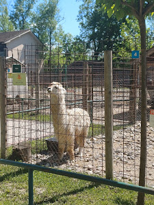 Zoo vrt Vrnjci — fotografia 5