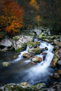 Huda lui Papară - Rezervație naturală — fotografia 4