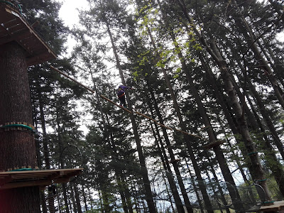 Jungle Raider Park Albavilla — fotografia 4