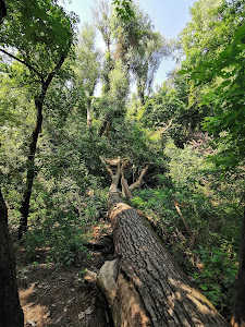 Gergő Parklands — fotografia 5