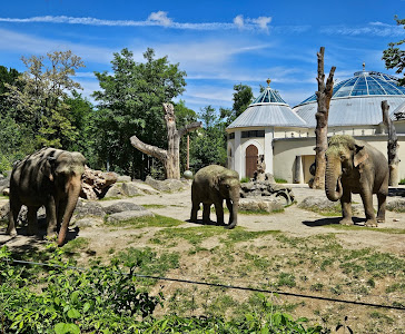 Grădina Zoologică Hellabrunn