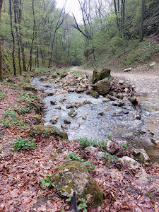 Cuha-szurdok — fotografia 3