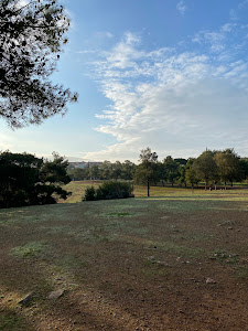 Pikioni — fotografia 3