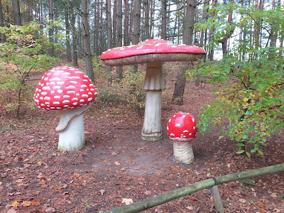 Park Grzybowy — fotografia 5