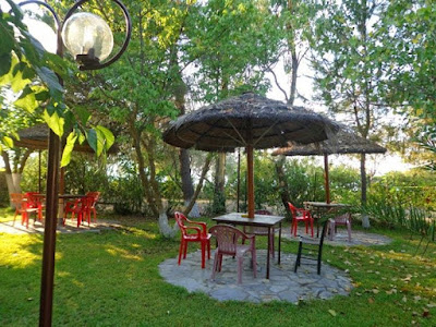 Camping Pefki — fotografia 4