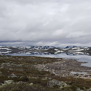 Ørteren