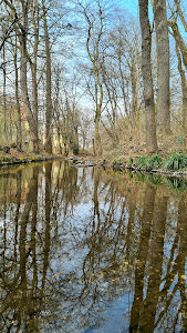 Pasinger Stadtpark — fotografia 5