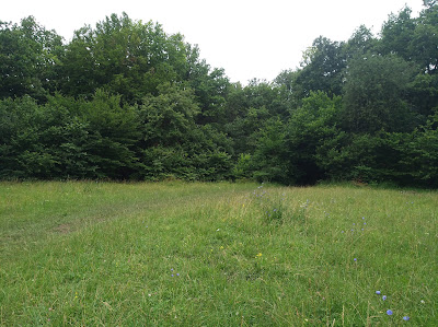 Poiana Rotundă — fotografia 3