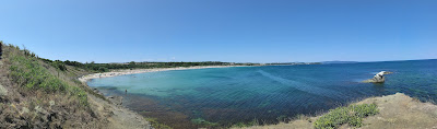 Beach Coral — fotografia 3