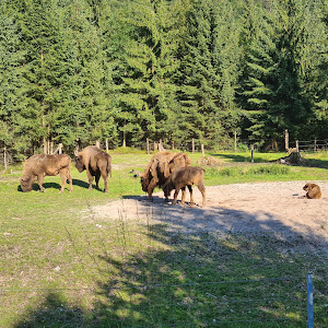 Cumberland Wildlife Park Grünau — fotografia 5