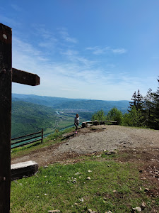 Видиковац Ослуша
