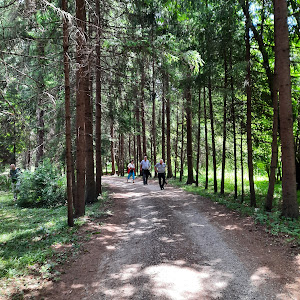 Parcul dendrologic Dofteana, județul Bacău — fotografia 3