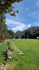 Camping Valea Iarului — fotografia 4