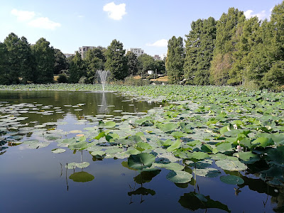 Parcul Circului — fotografia 3