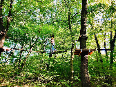 Miskolctapolcai Adventure Park — fotografia 4