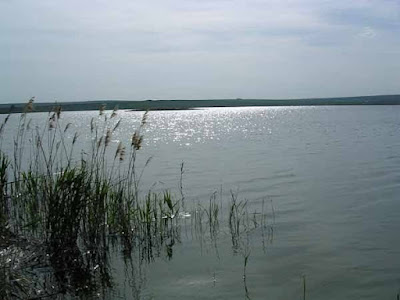 Pârlogeanu