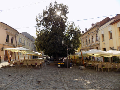 Piața Muzeului — fotografia 3