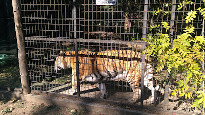 Grădina Zoologică a Parcului „Nicolae Romanescu” — fotografia 5
