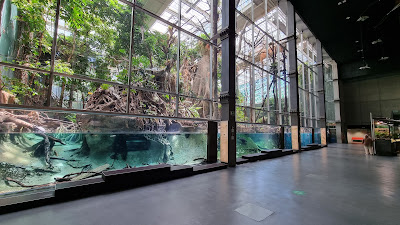 CosmoCaixa Museum of Science — fotografia 3