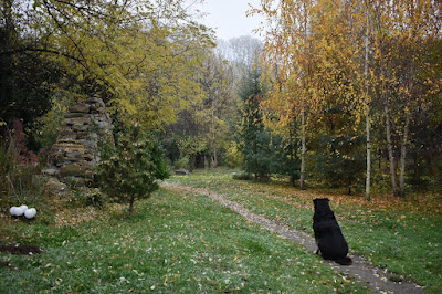 Camping Grădina Ioanei — fotografia 3