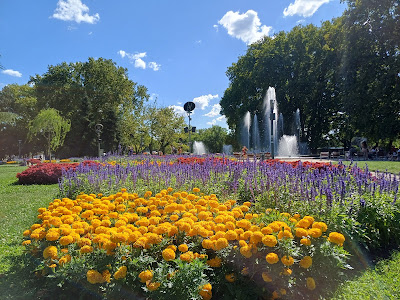 Margaret Island Mini Zoo — fotografia 4