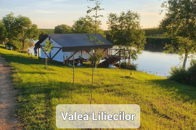Balta Valea Liliecilor — fotografia 5