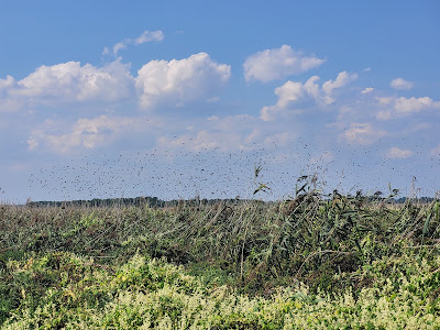 Śliwno - Kładka (zamykane na okres zimowy) — fotografia 5
