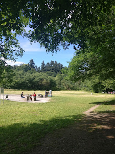 Buschwiesen