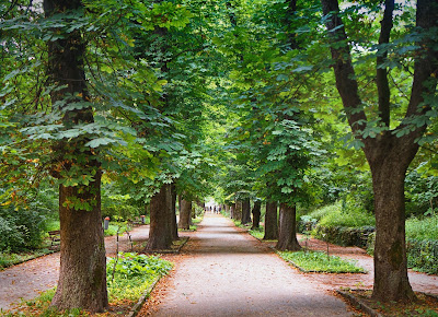 Park Kyoshkovete — fotografia 3
