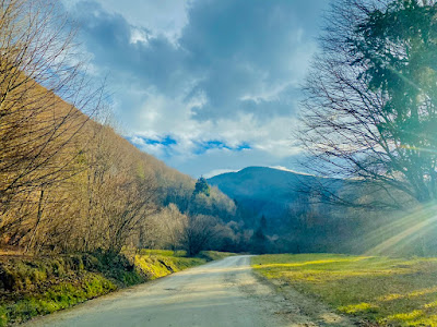Zona turistică Valea Avrigului — fotografia 4