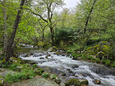Merendero Río Francia — fotografia 5